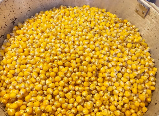 grain popcorn prep